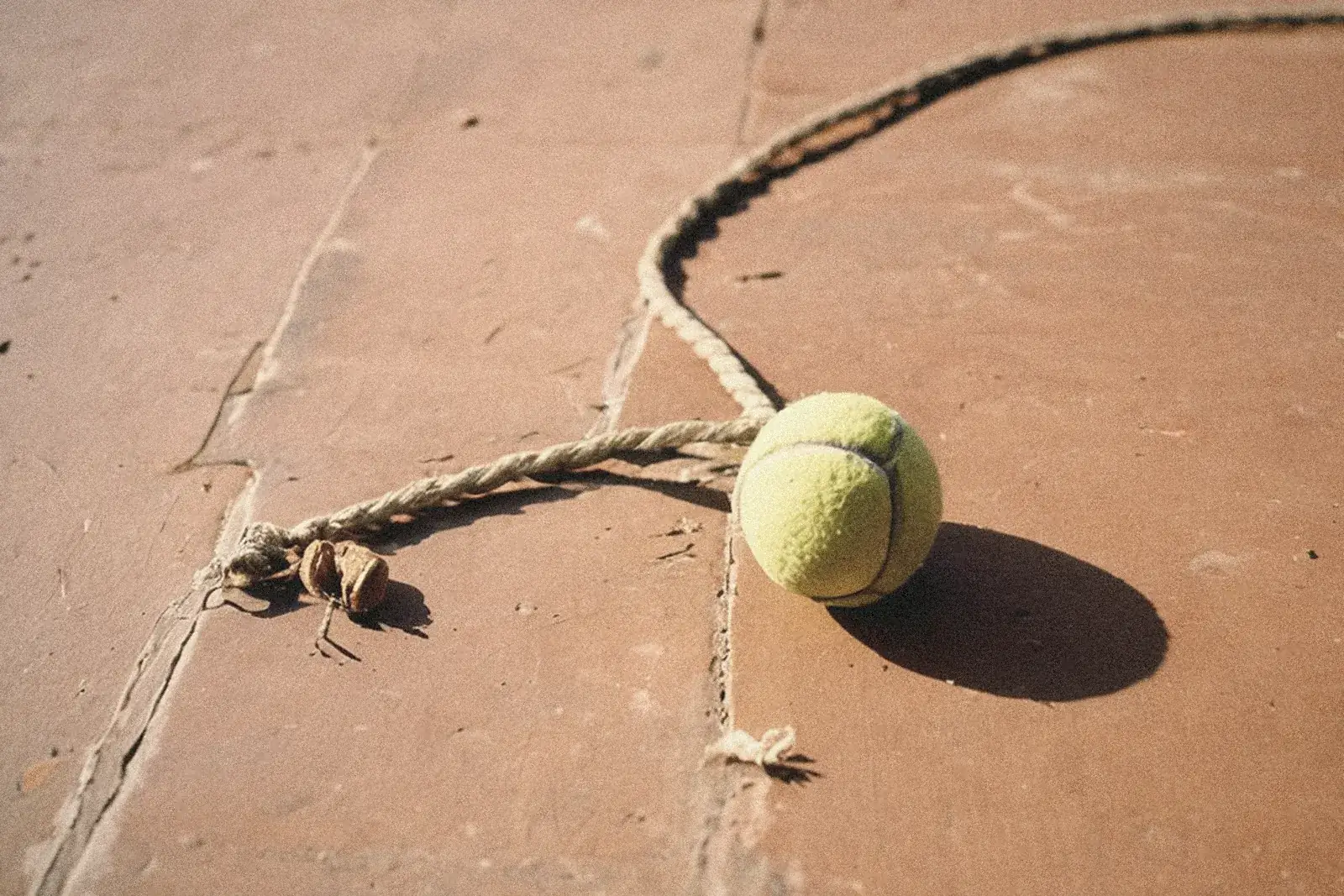 Pelota de tenis y juguete de cuerda sobre un suelo de baldosa de barro (imagen generada con IA)